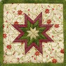 Amish Folded Star Potholder Class